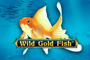 Wild Gold Fish